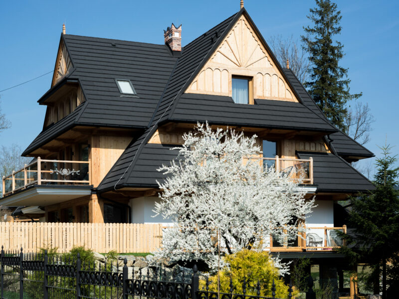 Biała Owca 01