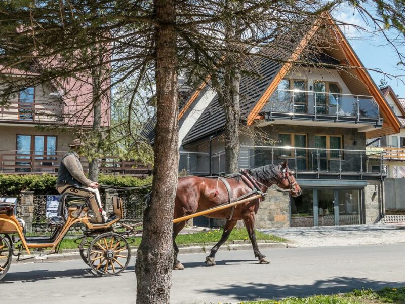 Villa Wierchy 01